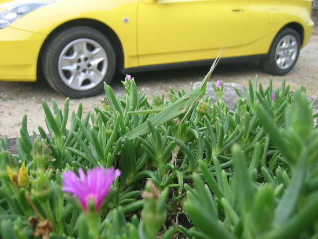 ����Ȃ��ƁE����Ȃ���