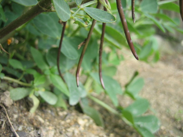 ����Ȃ��ƁE����Ȃ���