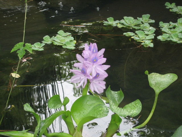 ����Ȃ��ƁE����Ȃ���