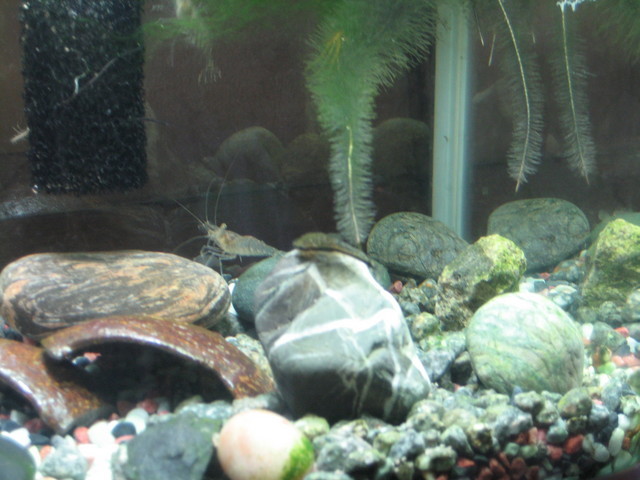 ����Ȃ��ƁE����Ȃ���