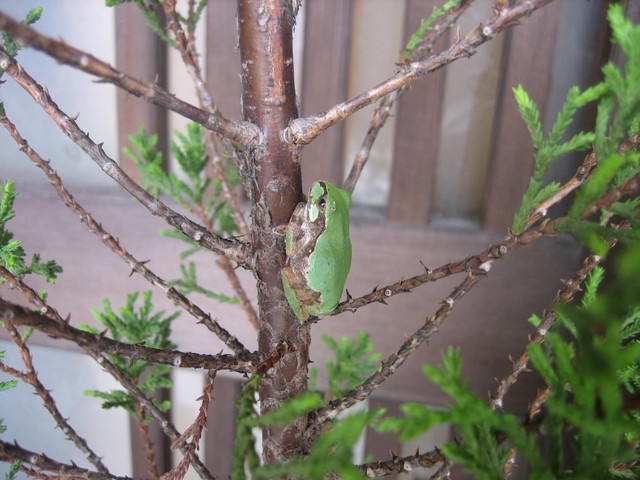 ����Ȃ��ƁE����Ȃ���