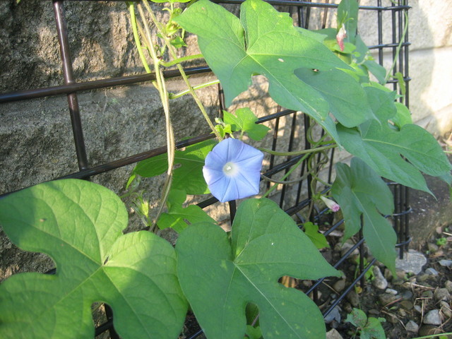 ����Ȃ��ƁE����Ȃ���