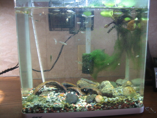 ����Ȃ��ƁE����Ȃ���