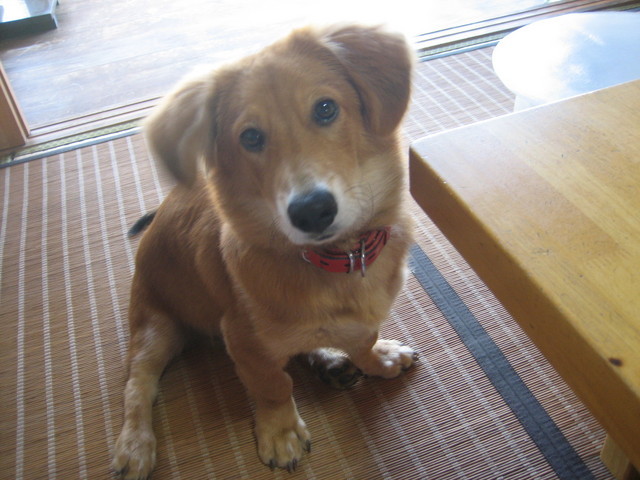 ����Ȃ��ƁE����Ȃ���