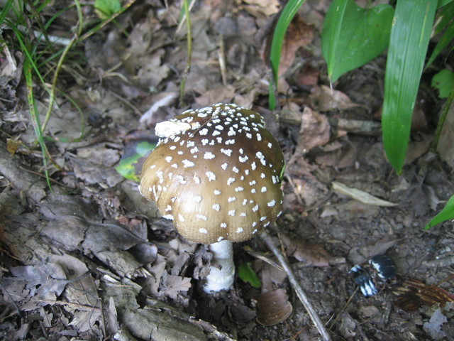 ����Ȃ��ƁE����Ȃ���