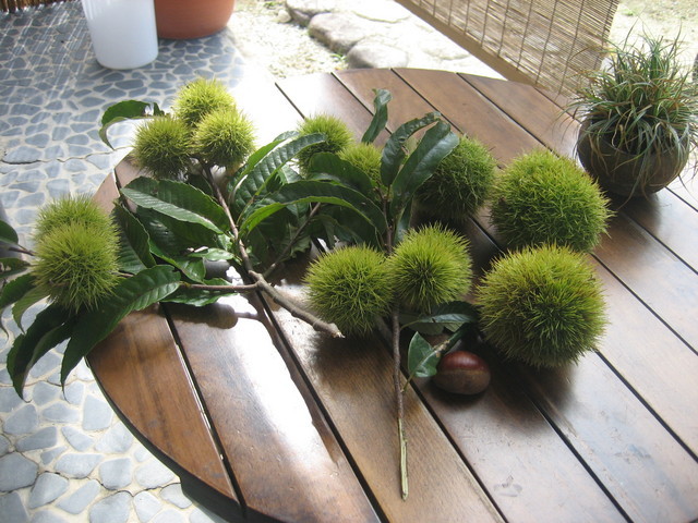 ����Ȃ��ƁE����Ȃ���