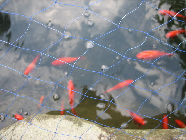 ����Ȃ��ƁE����Ȃ���