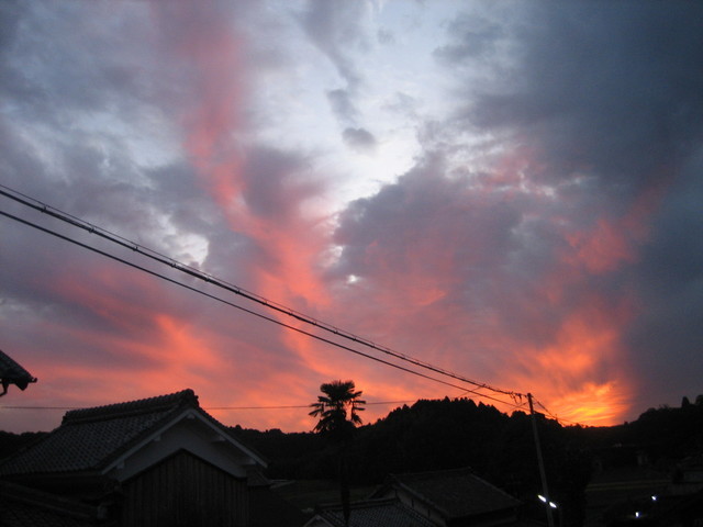 ����Ȃ��ƁE����Ȃ���