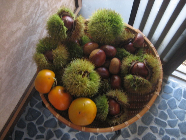 ����Ȃ��ƁE����Ȃ���