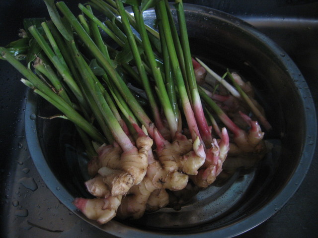 ����Ȃ��ƁE����Ȃ���