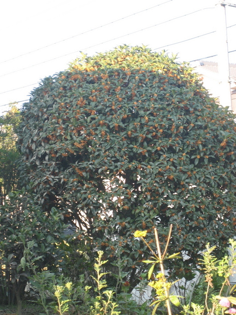 ����Ȃ��ƁE����Ȃ���