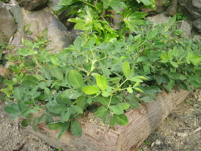 ����Ȃ��ƁE����Ȃ���