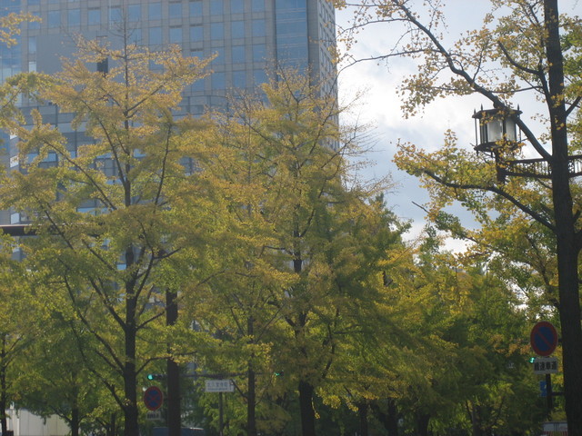 ����Ȃ��ƁE����Ȃ���