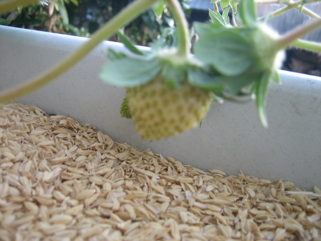 ����Ȃ��ƁE����Ȃ���