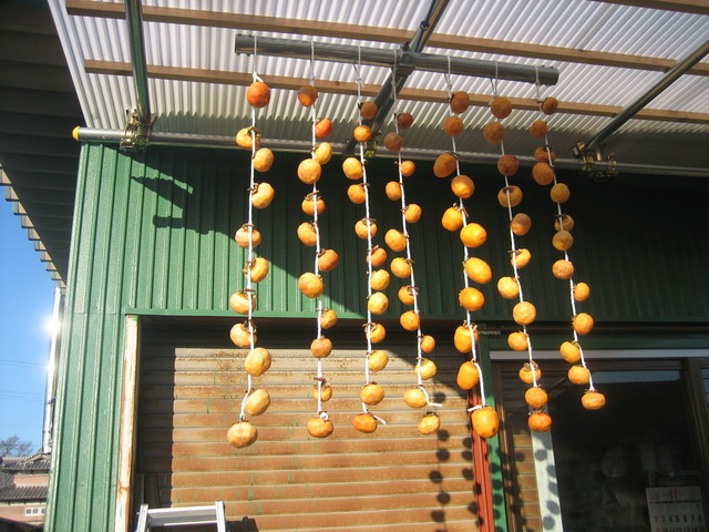 ����Ȃ��ƁE����Ȃ���