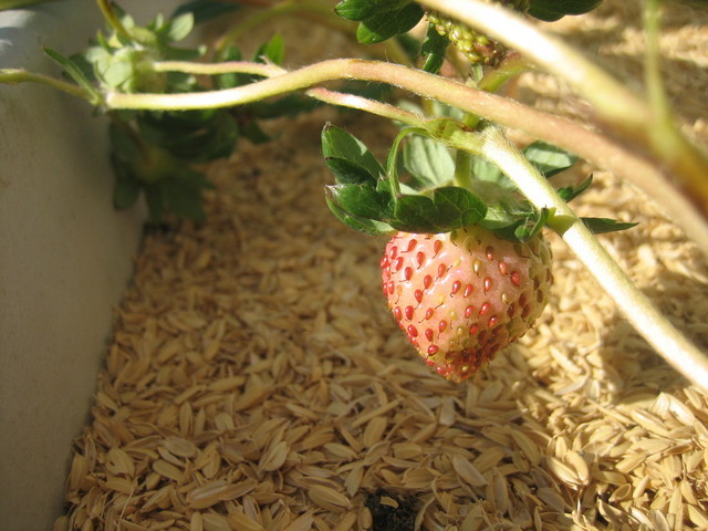 ����Ȃ��ƁE����Ȃ���