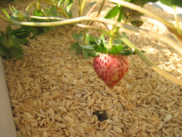 ����Ȃ��ƁE����Ȃ���