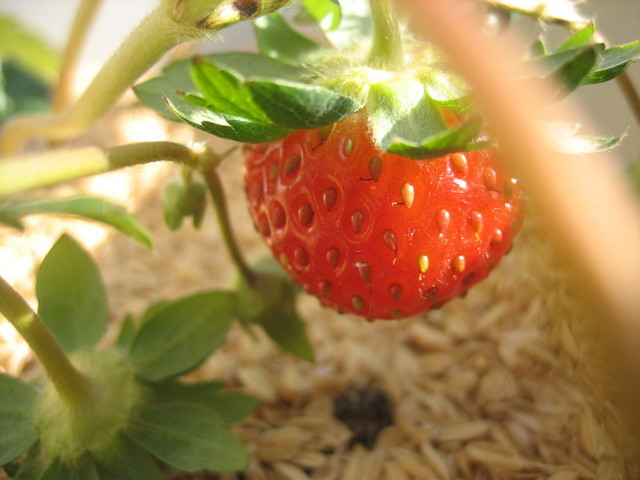 ����Ȃ��ƁE����Ȃ���