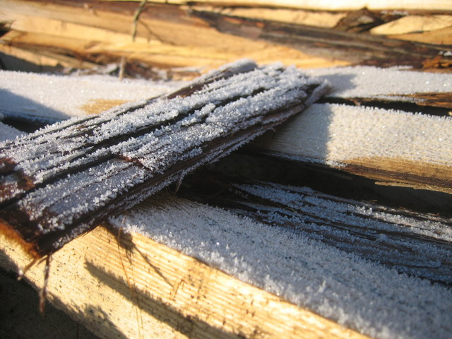 ����Ȃ��ƁE����Ȃ���