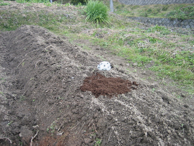 ����Ȃ��ƁE����Ȃ���