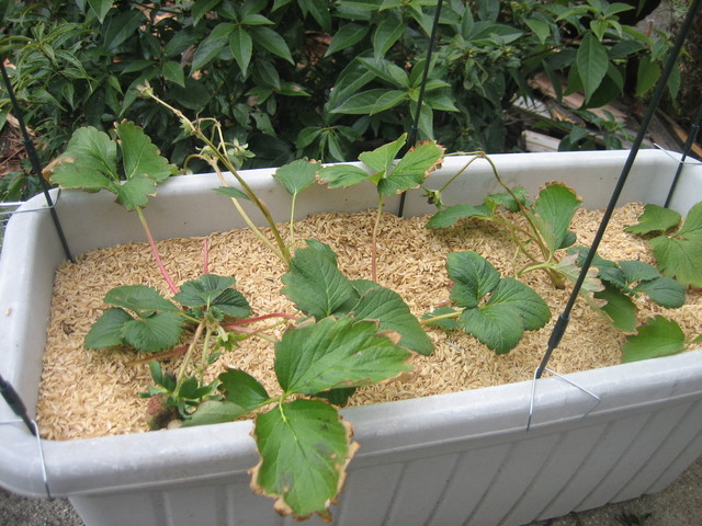 ����Ȃ��ƁE����Ȃ���