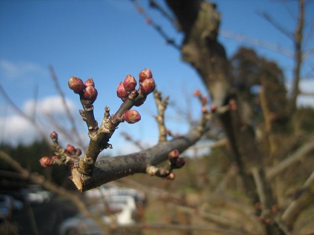 ����Ȃ��ƁE����Ȃ���