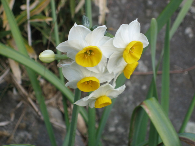 ����Ȃ��ƁE����Ȃ���