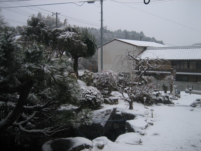 ����Ȃ��ƁE����Ȃ���