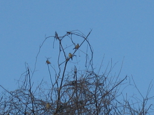 ����Ȃ��ƁE����Ȃ���