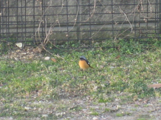 ����Ȃ��ƁE����Ȃ���