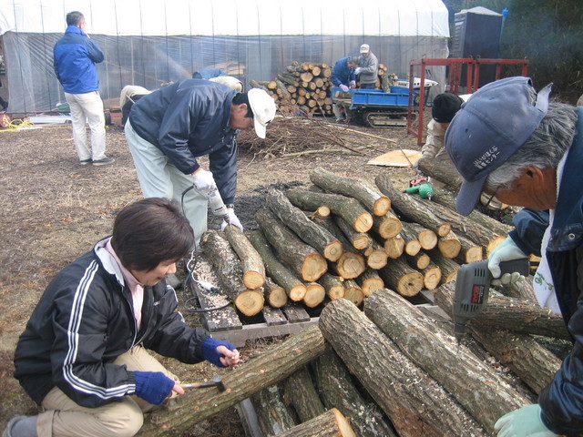 ����Ȃ��ƁE����Ȃ���