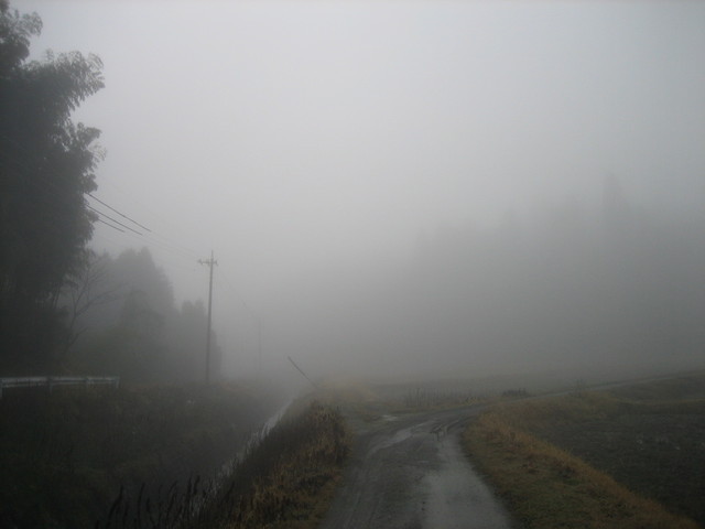 ����Ȃ��ƁE����Ȃ���