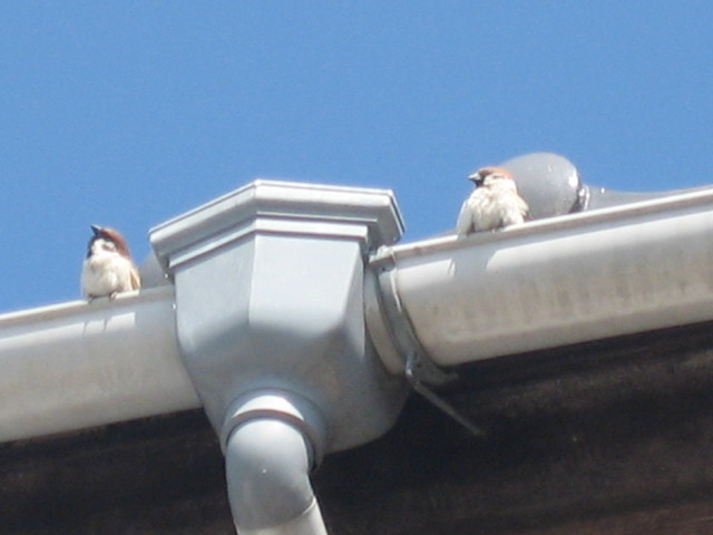 ����Ȃ��ƁE����Ȃ���