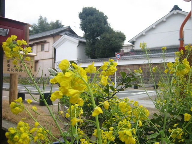 ����Ȃ��ƁE����Ȃ���