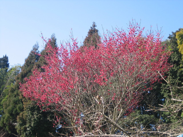 ����Ȃ��ƁE����Ȃ���