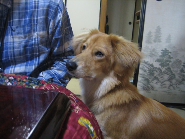 ����Ȃ��ƁE����Ȃ���