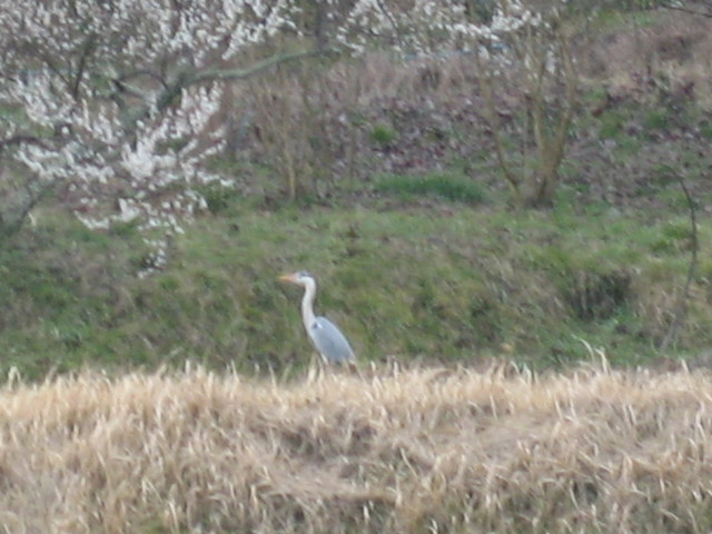 ����Ȃ��ƁE����Ȃ���