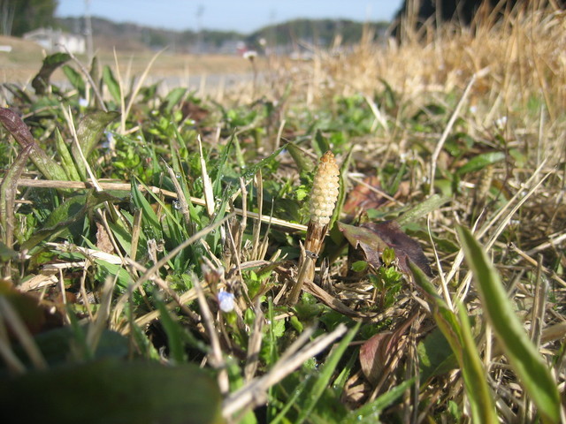 ����Ȃ��ƁE����Ȃ���