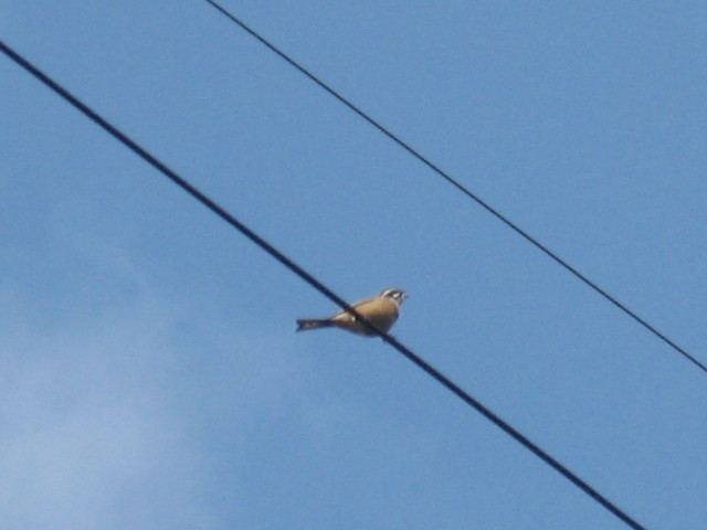 ����Ȃ��ƁE����Ȃ���