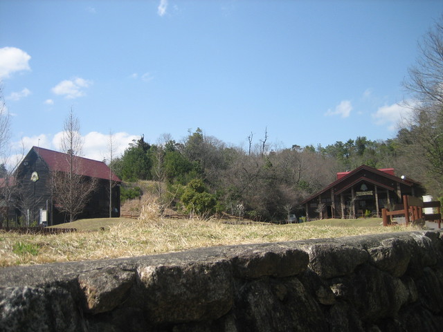 ����Ȃ��ƁE����Ȃ���