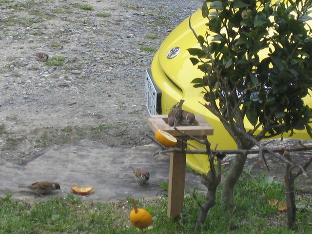 ����Ȃ��ƁE����Ȃ���