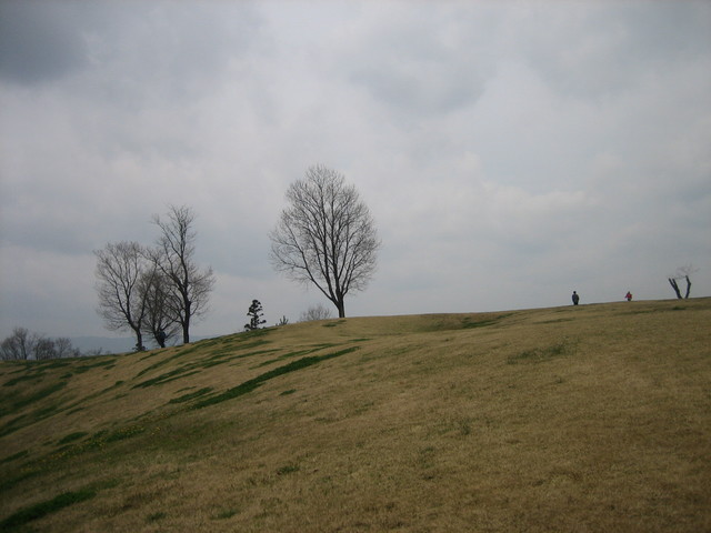 ����Ȃ��ƁE����Ȃ���