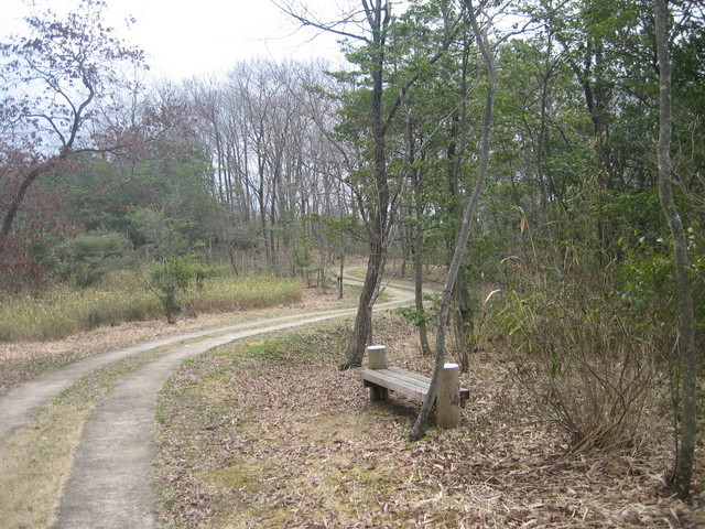 ����Ȃ��ƁE����Ȃ���