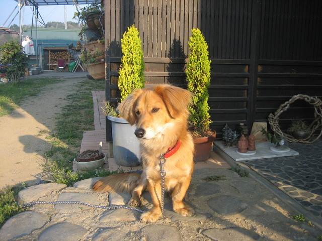 ����Ȃ��ƁE����Ȃ���