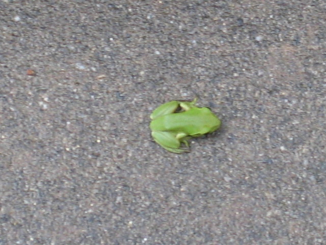 ����Ȃ��ƁE����Ȃ���