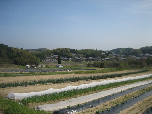 ����Ȃ��ƁE����Ȃ���