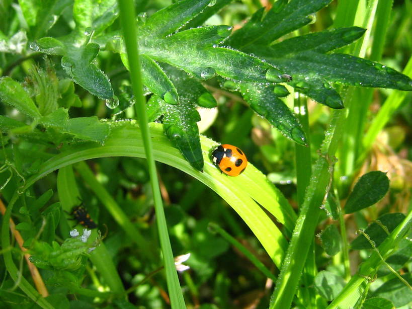 ����Ȃ��ƁE����Ȃ���