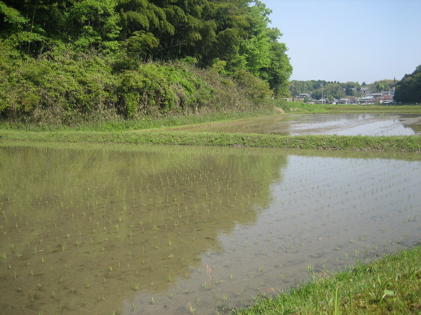 ����Ȃ��ƁE����Ȃ���