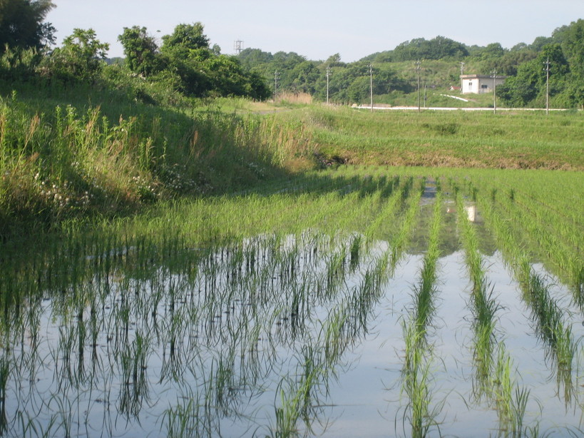 ����Ȃ��ƁE����Ȃ���