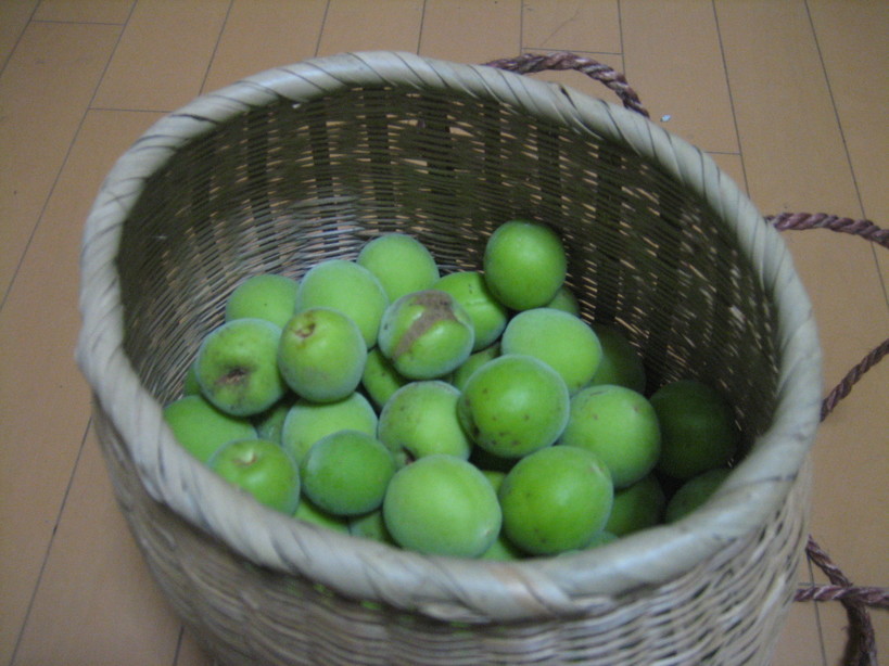 ����Ȃ��ƁE����Ȃ���